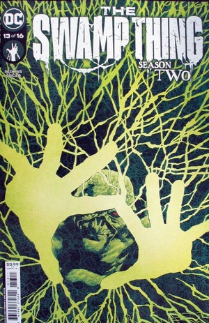 [Swamp Thing (series 7) 13 (standard cover - Mike Perkins)]