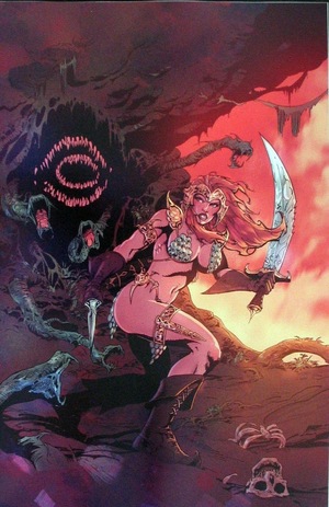 [Red Sonja (series 9) Issue #9 (Cover Q - Robert Castro Full Art Incentive)]