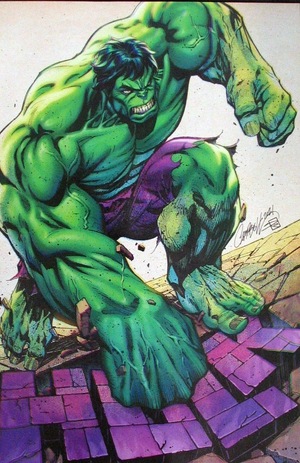 [Hulk (series 6) No. 7 (1st printing, variant full art cover - J. Scott Campbell)]