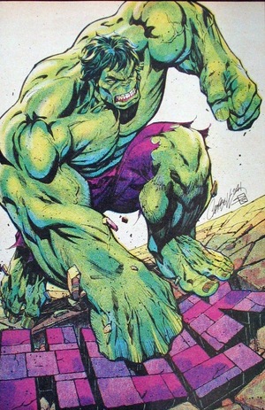 [Hulk (series 6) No. 7 (1st printing, variant full art retro cover - J. Scott Campbell)]