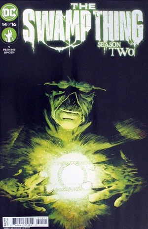 [Swamp Thing (series 7) 14 (standard cover - Mike Perkins)]