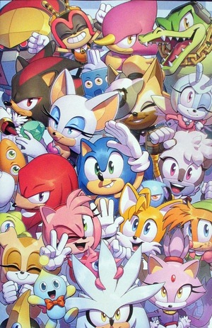 [Sonic the Hedgehog (series 2) #50 (Cover B - Evan Stanley Full Art)]