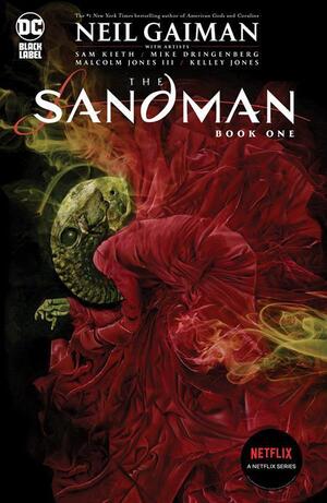 [Sandman Book 1 (SC, standard cover - Dave McKean)]