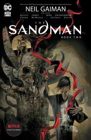 [Sandman Book 2 (SC, standard cover - Dave McKean)]