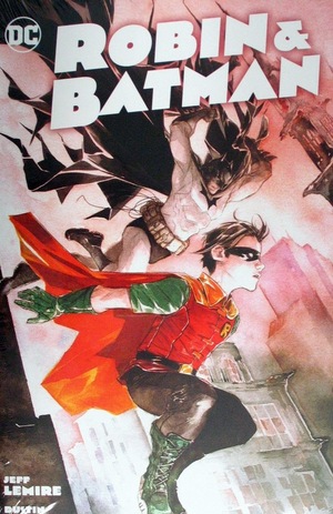 [Robin & Batman (HC)]