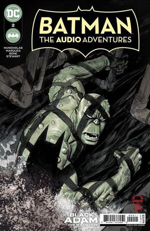 [Batman: The Audio Adventures 2 (standard cover - Dave Johnson)]