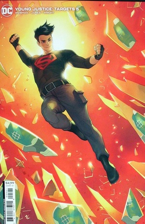 [Young Justice: Targets 5 (Cover B - Meghan Hetrick)]