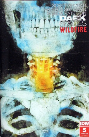 [Dark Spaces - Wildfire #5 (Cover D - Martin Simmonds)]