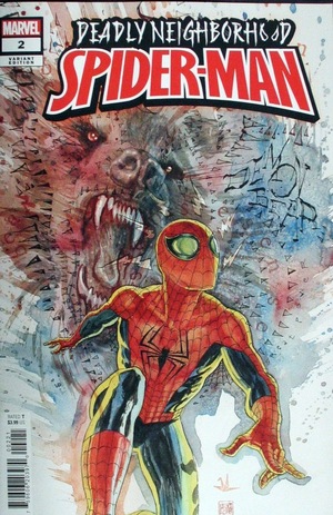 [Deadly Neighborhood Spider-Man No. 2 (variant cover - David Mack)]