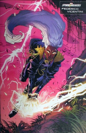 [Immortal X-Men No. 10 (Cover C - Federico Vicentini Stormbreakers Variant)]