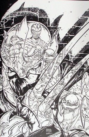 [Mighty Morphin Power Rangers / Teenage Mutant Ninja Turtles II #2 (Cover F - Kevin Eastman & Freddie Williams II B&W Full Art Incentive)]