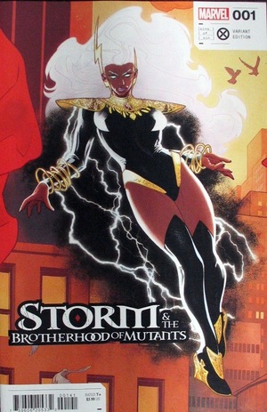 [Storm & The Brotherhood of Mutants No. 1 (1st printing, Cover D - Elena Casagrande Connecting Variant)]