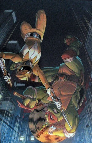 [Mighty Morphin Power Rangers / Teenage Mutant Ninja Turtles II #3 (Cover H - Ig Guara Full Art Incentive)]