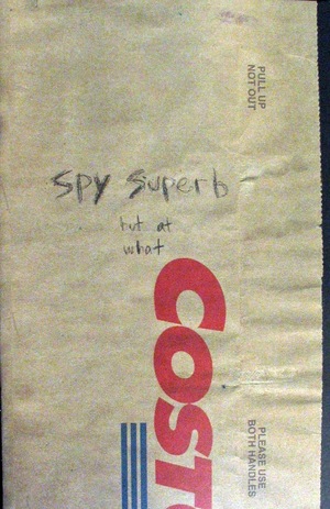[Spy Superb #3 (Cover A - Matt Kindt)]