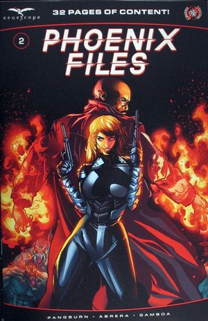 [Phoenix Files #2 (Cover A - Drew Edward Johnson)]