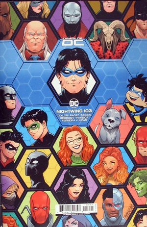 [Nightwing (series 4) 103 (Cover E - Vasco Georgiev Incentive)]