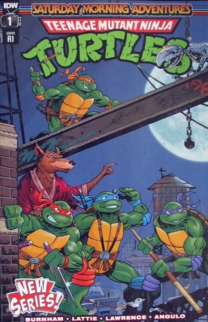 [Teenage Mutant Ninja Turtles: Saturday Morning Adventures Continued #1 (Cover D - Michael Dooney Incentive)]