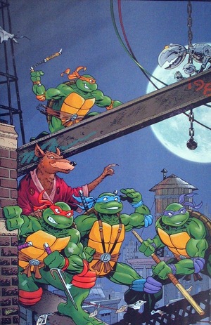 [Teenage Mutant Ninja Turtles: Saturday Morning Adventures Continued #1 (Cover E - Michael Dooney Full Art Incentive)]