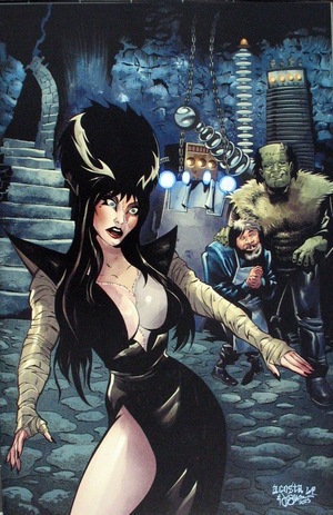 [Elvira in Monsterland #2 (Cover I - Dave Acosta Full Art Incentive)]