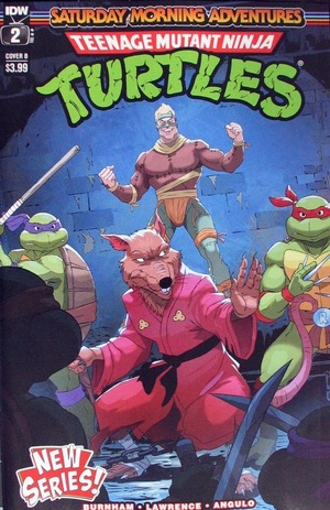 [Teenage Mutant Ninja Turtles: Saturday Morning Adventures Continued #2 (Cover B - Dan Schoening)]