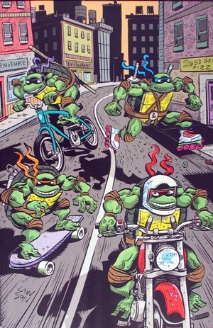[Teenage Mutant Ninja Turtles: Saturday Morning Adventures Continued #2 (Cover E - Jim Lawson Full Art Incentive)]