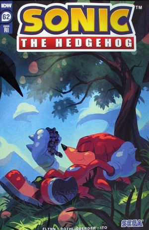 [Sonic the Hedgehog (series 2) #62 (Cover C - Nathalie Fourdraine Incentive)]