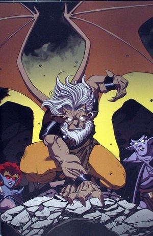 [Gargoyles - Dark Ages #1 (Cover N - Drew Moss Full Art Incentive)]