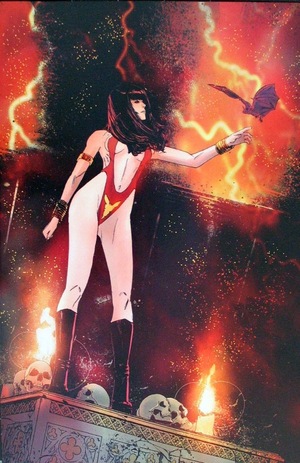 [Vampirella Vs. The Superpowers #3 (Cover J - Robert Carey Full Art Incentive)]