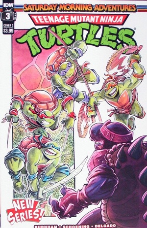 [Teenage Mutant Ninja Turtles: Saturday Morning Adventures Continued #3 (Cover C - Shawn Daley)]
