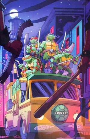 [Teenage Mutant Ninja Turtles: Saturday Morning Adventures Continued #3 (Cover E - Tim Levins Full Art Incentive)]