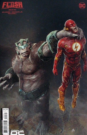 [Flash (series 6) 2 (Cover C - Bjorn Barends)]