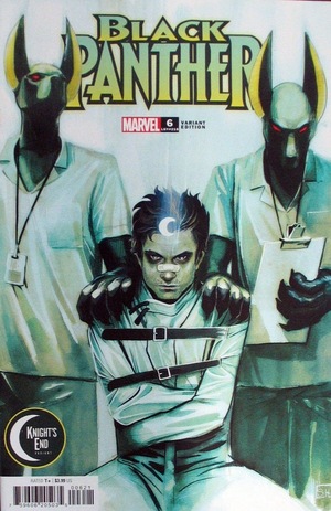 [Black Panther (series 9) No. 6 (Cover C - Stephanie Hans Knight's End Variant)]