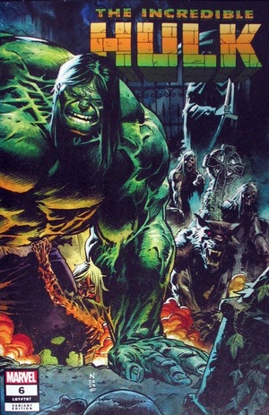 [Incredible Hulk (series 5) No. 6 (Cover D - Nic Klein Wraparound)]