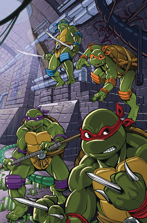 [Teenage Mutant Ninja Turtles: Saturday Morning Adventures Continued #8 (Cover D - Brothers Escorza Full Art Incentive)]