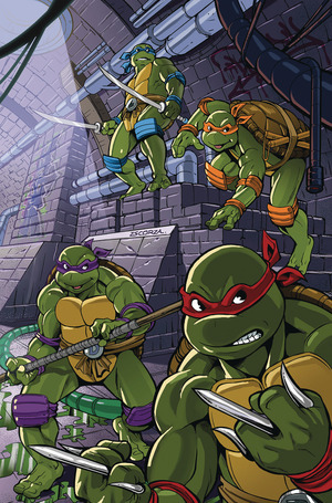 [Teenage Mutant Ninja Turtles: Saturday Morning Adventures Continued #8 (Cover D - Brothers Escorza Full Art Incentive)]