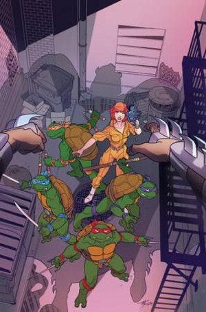 [Teenage Mutant Ninja Turtles: Saturday Morning Adventures Continued #9 (Cover D - Tim Levins Full Art Incentive)]