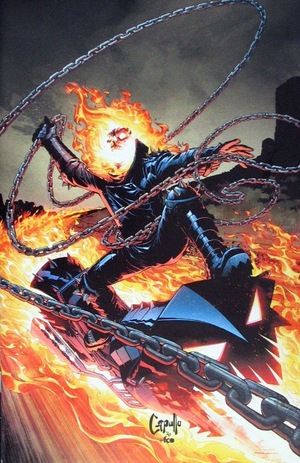 [Ghost Rider: Final Vengeance No. 1 (1st printing, Cover J - Greg Capullo Full Art Incentive)]