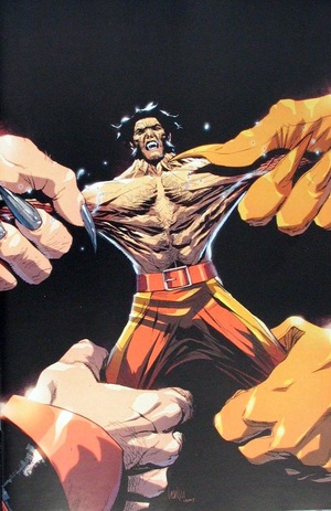 [Wolverine (series 7) No. 48 (Cover J - Leinil Yu Full Art Incentive)]