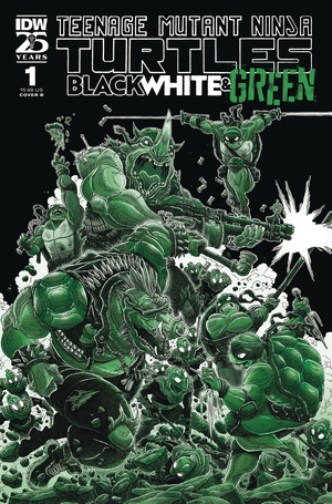 [Teenage Mutant Ninja Turtles: Black, White, & Green #1 (Cover B - James Stokoe)]