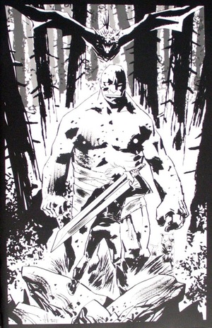 [Lost Fantasy #1 (Cover C - Luca Casalanguida B&W Incentive)]
