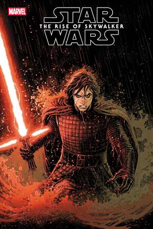 [Star Wars: Rise of Skywalker Adaptation No. 4 (Cover C - Luke Ross)]