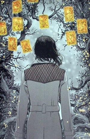 [Minor Arcana #8 (Cover E - Dan Panosian Full Art Anniversary Incentive)]