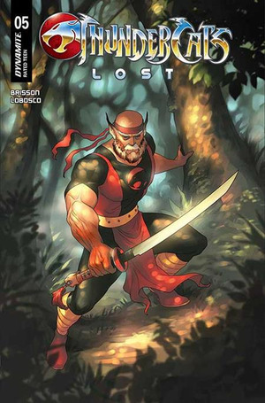 [Thundercats - Lost #5 (Cover C - Meghan Hetrick)]