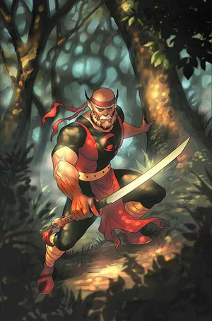 [Thundercats - Lost #5 (Cover L - Meghan Hetrick Full Art Incentive)]