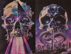 [Chamberlains #3 (Cover D - Todd Skull Foil)]