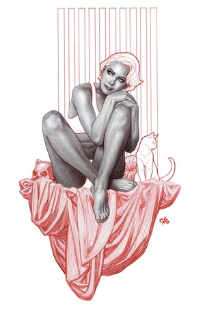 [Catwoman (series 5) 79 (Cover F - Frank Cho Full Art Incentive)]