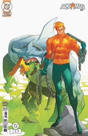 [Aquaman (series 9) 14 (Cover C - Ozgur Yildrim)]