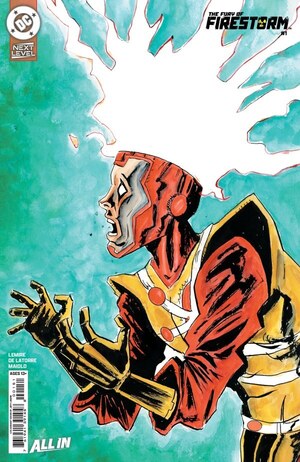 [Fury of Firestorm (series 2) 1 (1st printing, Cover G - Jeff Lemire Incentive)]