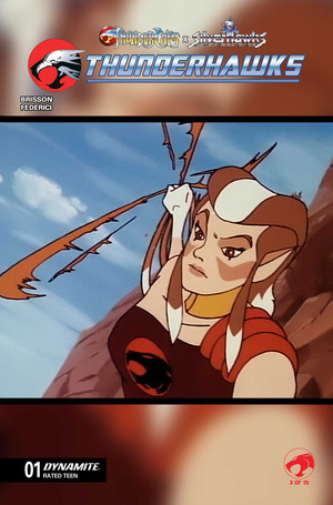 [Thundercats X Silverhawks - Thundercats #1 (Cover E - Animation Art Varinat)]
