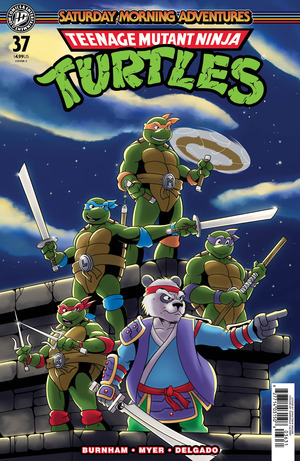 [Teenage Mutant Ninja Turtles: Saturday Morning Adventures - Continued #37 (Cover C - Jonathan Miller)]